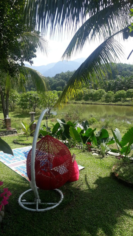 Sumatra Monkey Trekking