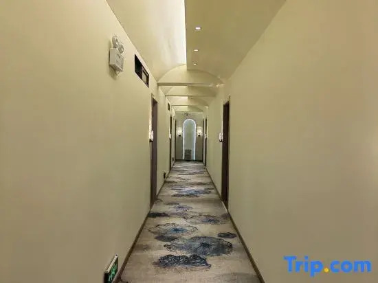 Yuanjia Homestay (Zhijin Ancient City Branch)