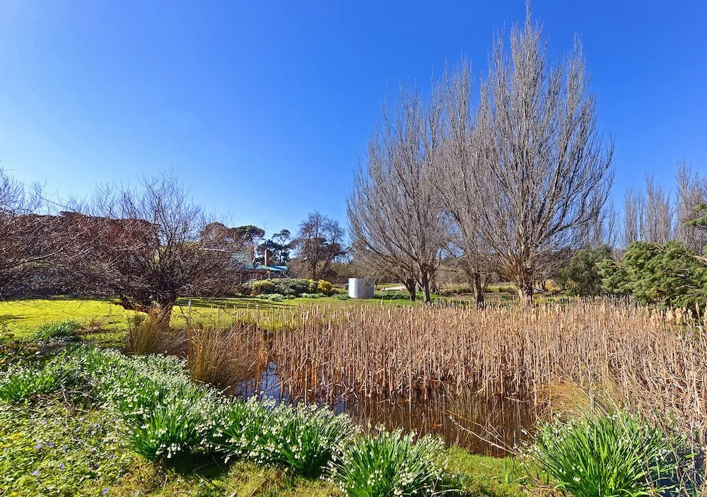 Ventnor Guest House