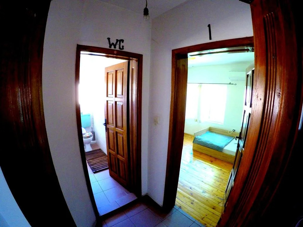 Funky Monkey Hostel
