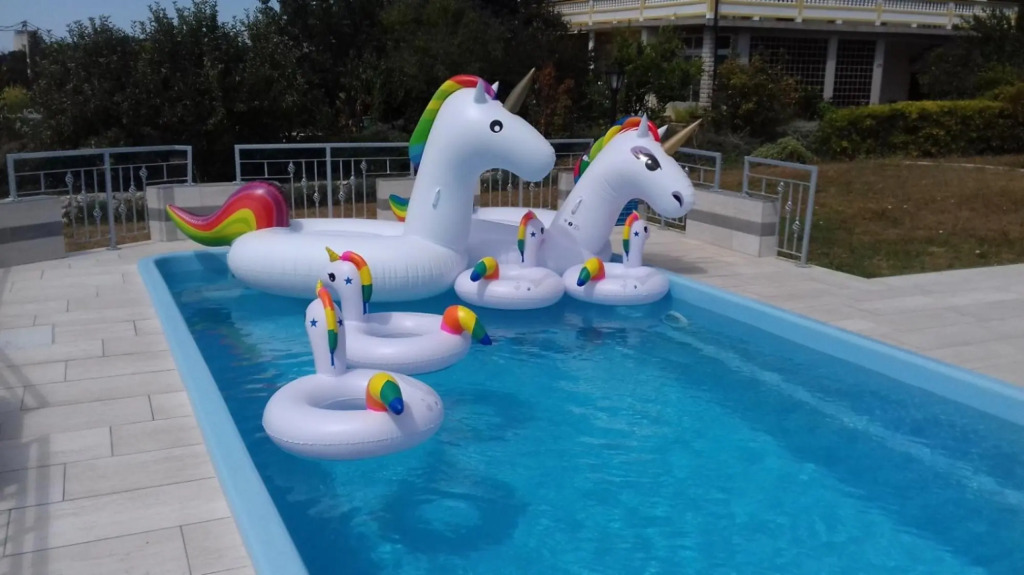 Ankica - pool & garden - A1(9)