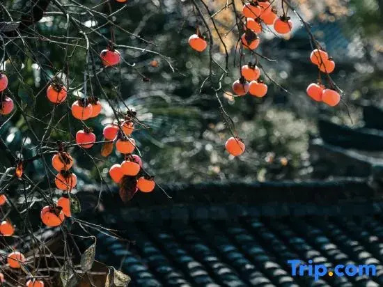Wuyuan Huangling Qianyuan Backyard Homestay