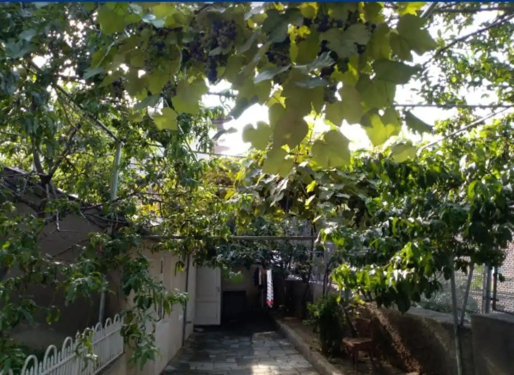 Guest House On Gunia - Hostel