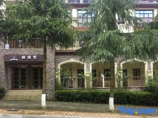 Wulong Olive Villa Homestay