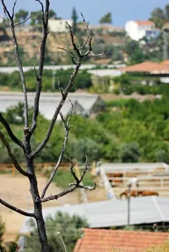 Isa M. Guesthouse