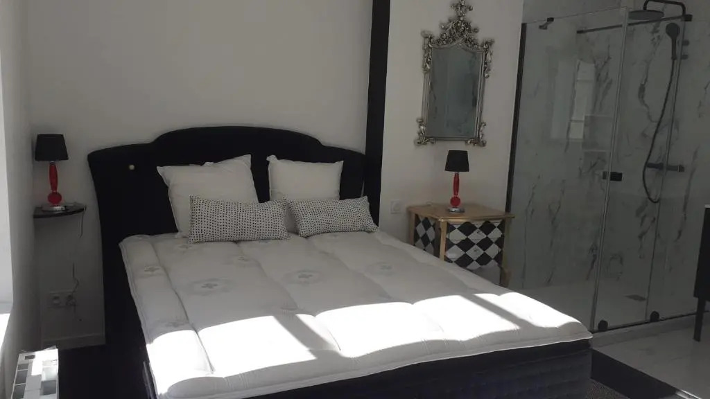 Appartement OH! Duc de Sully