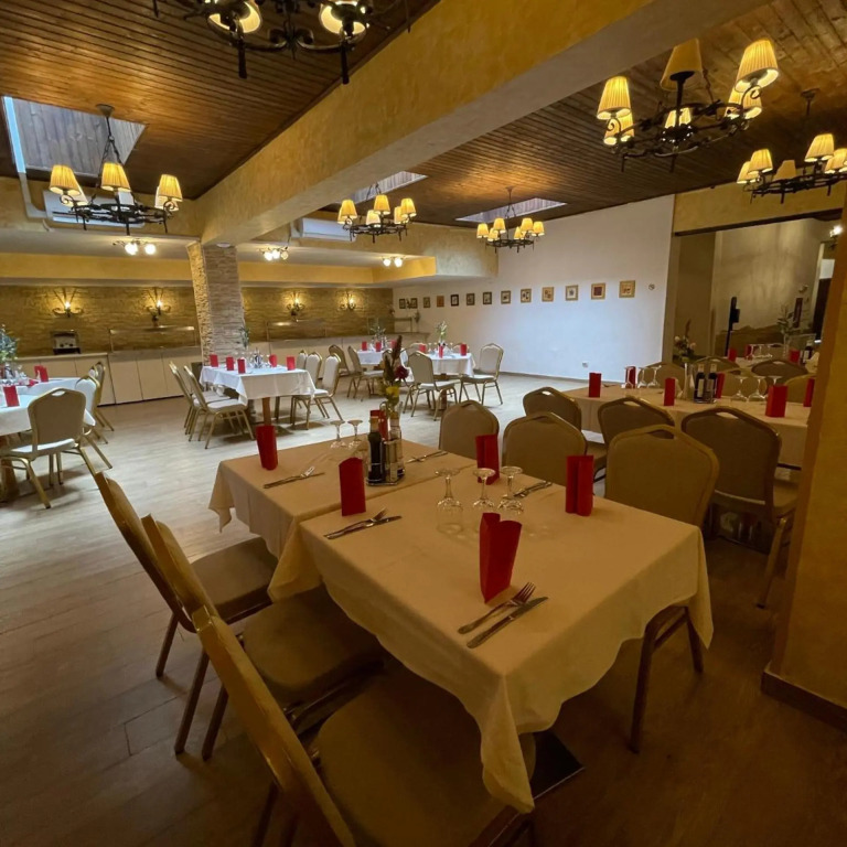 Hotel Soimul