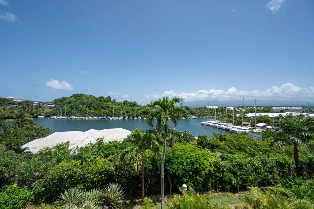 Studio, Piscine Et Vue Mer A La Marina