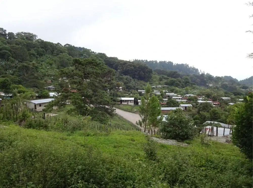 Ecoalbergue Canta Gallo