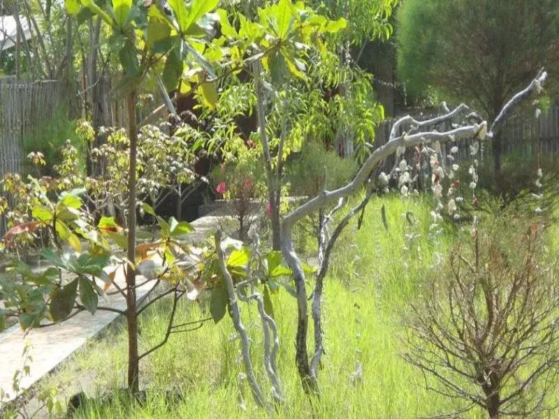 Kalinka Inn