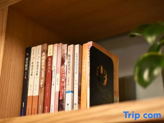TRUE GO Hotel (Beijing Nanluoguxiang Andingmen Subway Station)