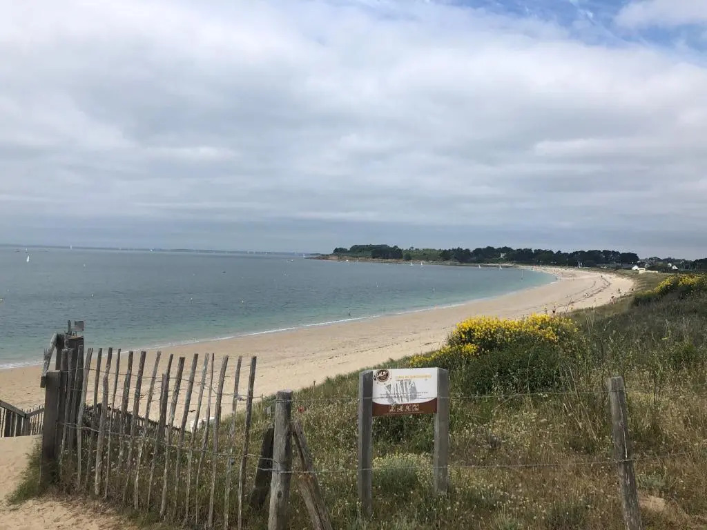 Location T2 Arzon