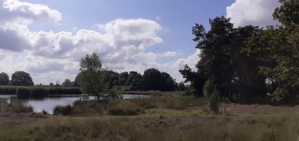Drentse bungalow in natuur en rust