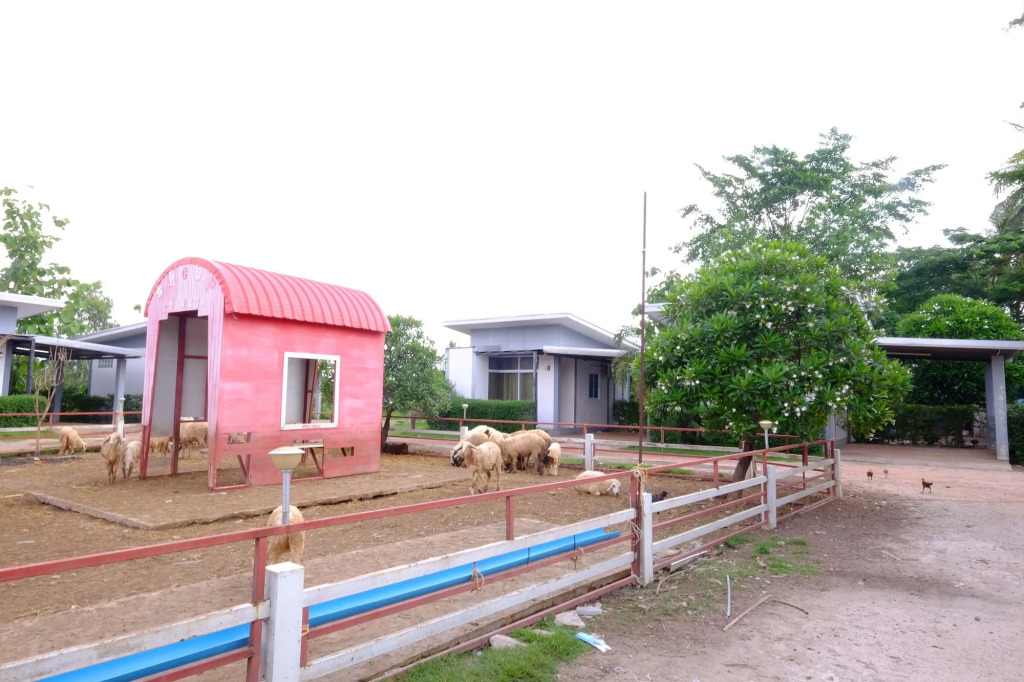Sixty Nine Resort