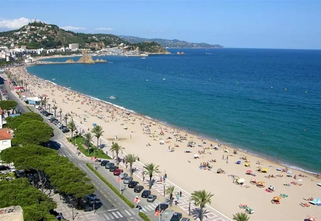 Apartment 60 mtres from the beach