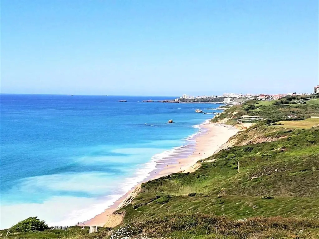 Appartement Biarritz, 3 pièces, 4 personnes - FR-1-3-544