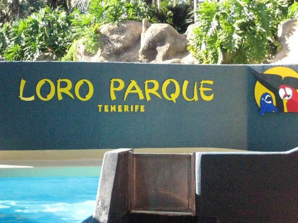 Apartment with 2 Bedrooms in Adeje, with Pool Access, Furnished Terrace And Wifi