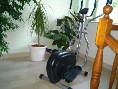 Guesthouse Zeko Rozat