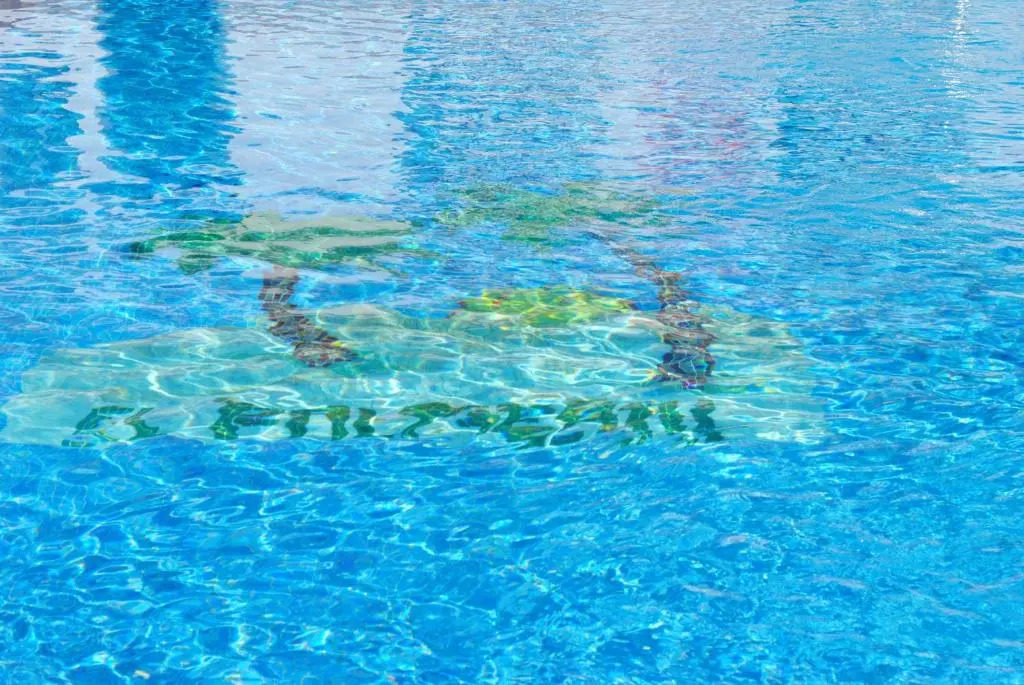 Apartamentos El Palmeral