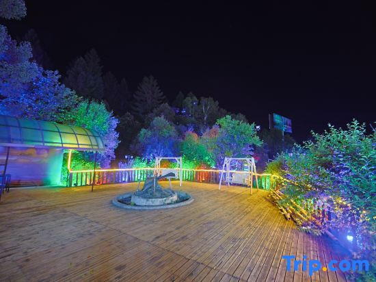 Linshuiju View Homestay (Changbai Mountain Magic World Scenic Area)