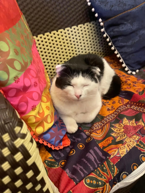 Selena Dalat Homestay Yersin