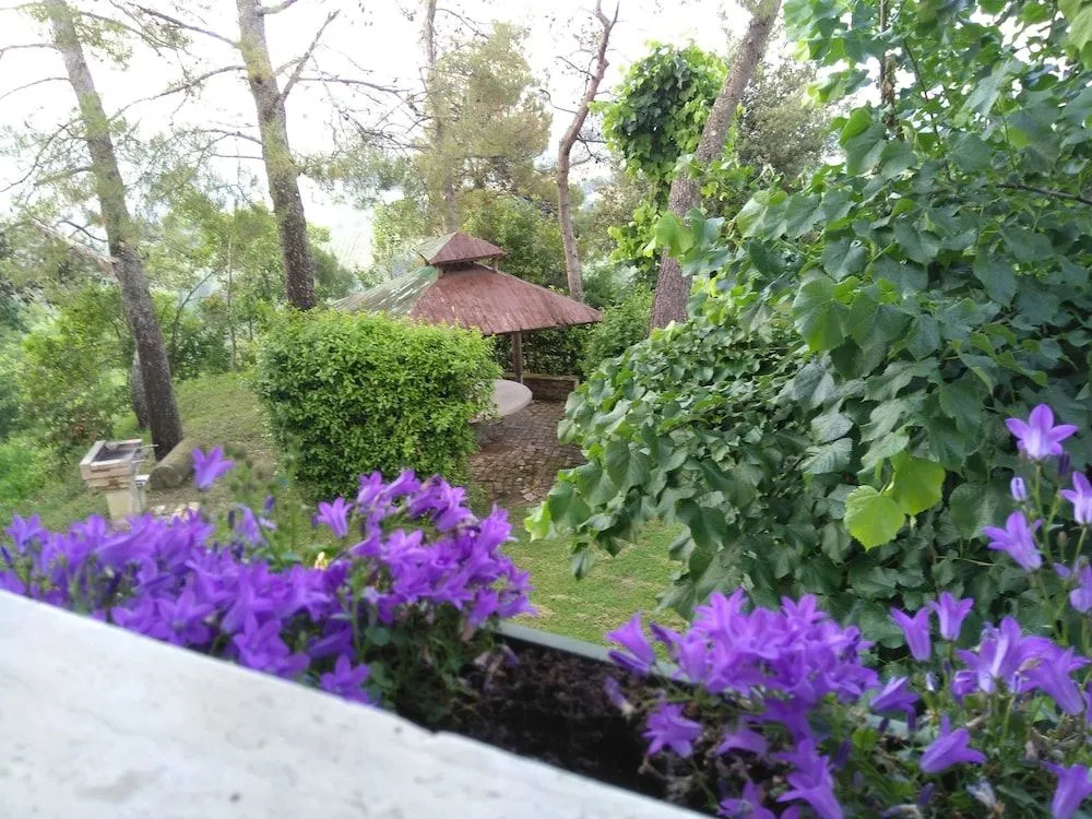 Casa Laura B&B