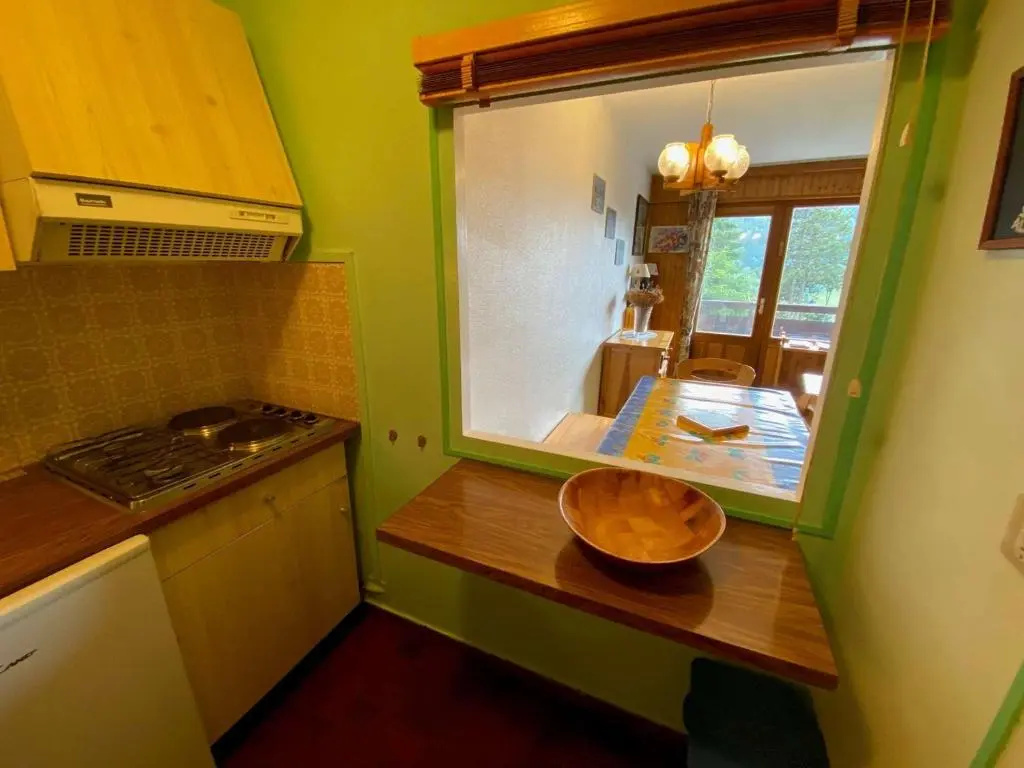 Appartement Le Grand-Bornand, 1 pièce, 4 personnes - FR-1-241-65