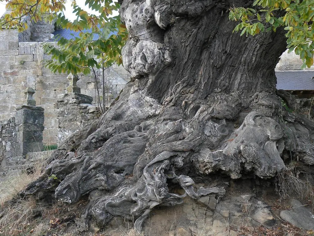 La Coral de Sanabria