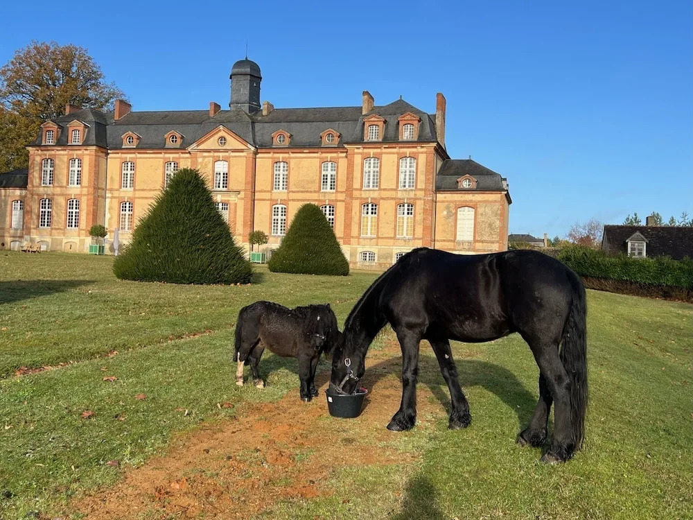 24H LE MANS Château de Lauresse chambres dhôtes Luxe, avec services
