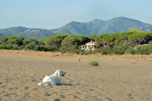 Mirto E Mare