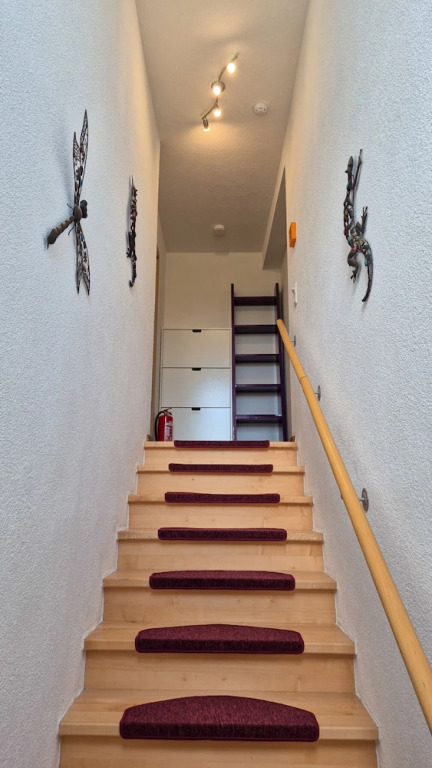 Apartment Medicus Zell am See Incl Summer Card