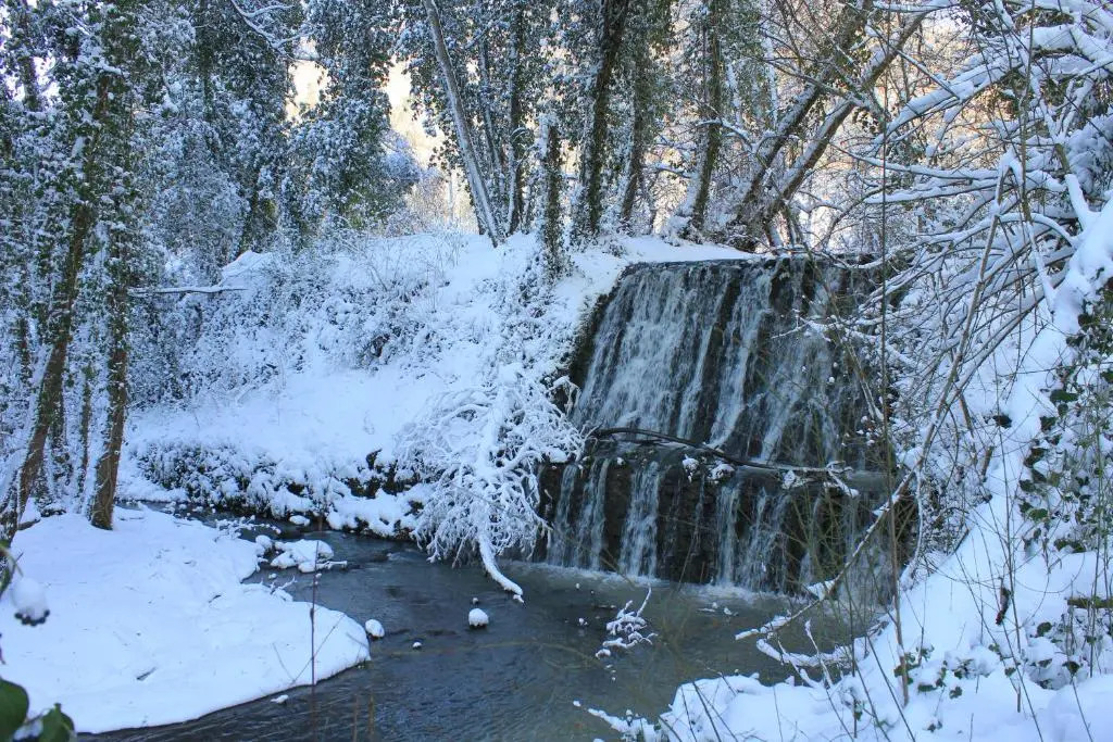 Agriturismo biologico il Molinaccio al Rio Chiaro