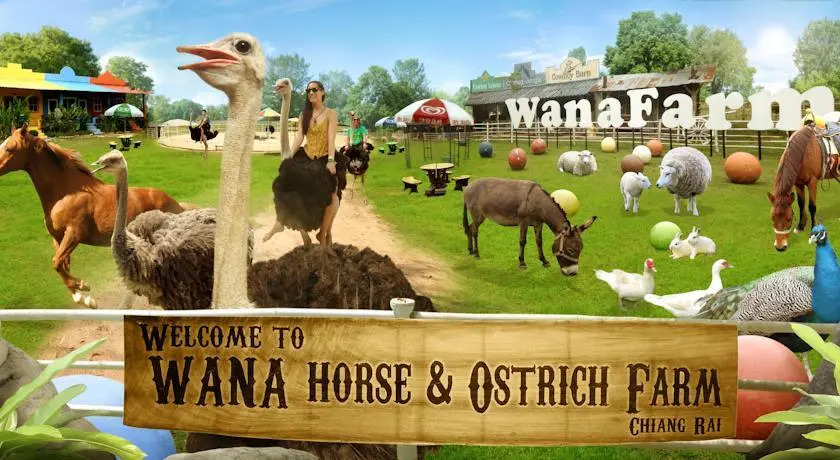 Wana Horse and Ostrich Farm