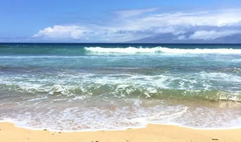 300 Steps to Beach Napili Shores Pool & BBQ