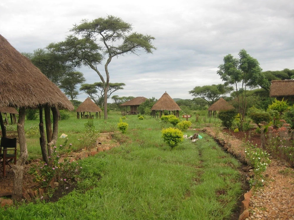 Ikoma Safari Camp