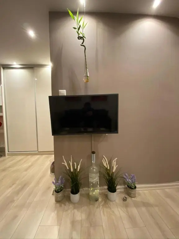 Eva suite Vip excellent studio 1