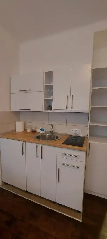 ZELENI VENAC Studio & Apartment