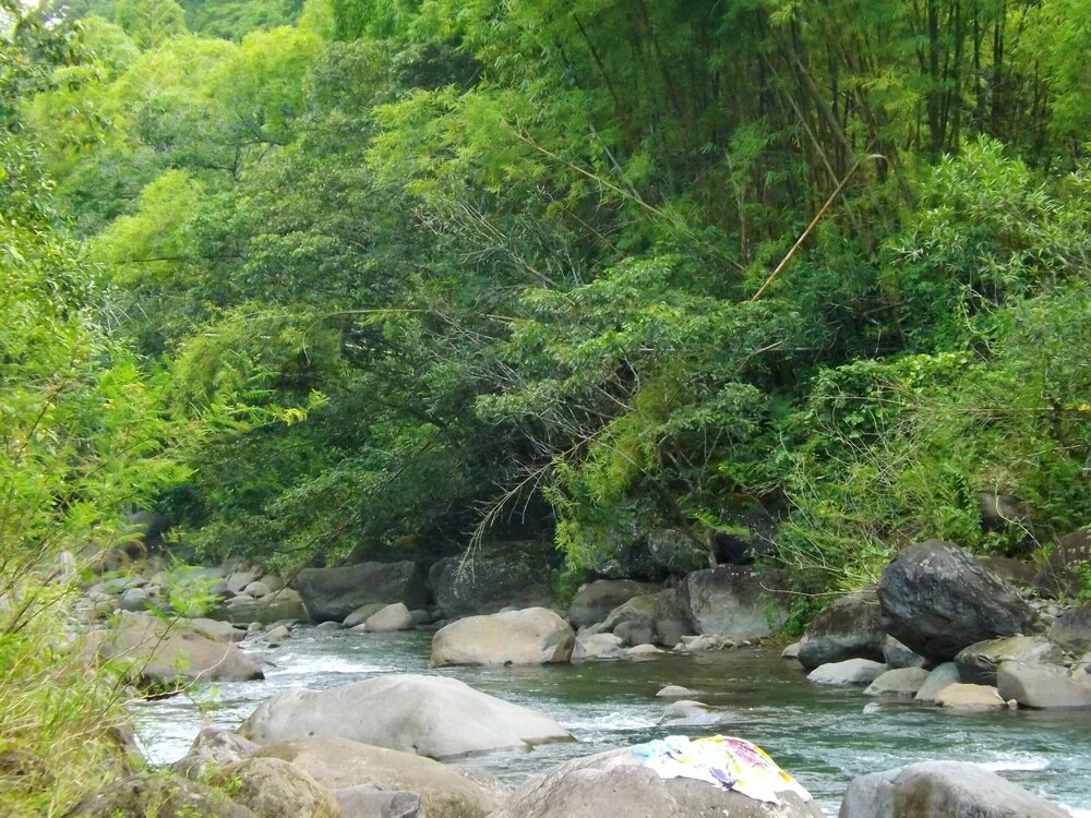 Studio in Marigot, With Wonderful sea View, Enclosed Garden and Wifi