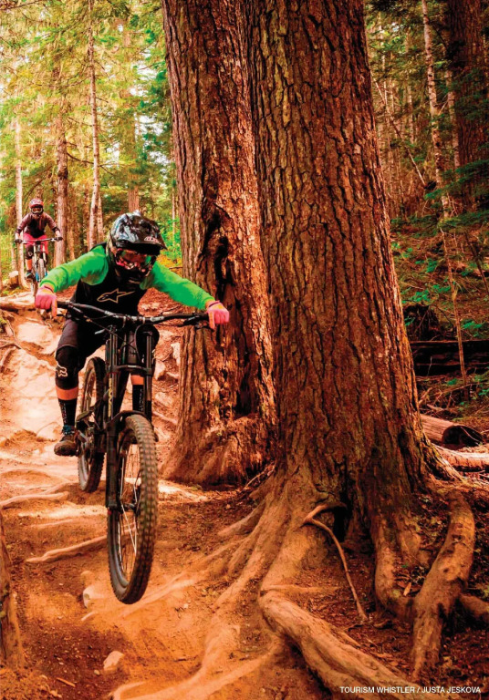 Blackcomb Lodge