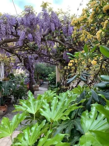 Hotel Fiorenza & Banksia Meublè