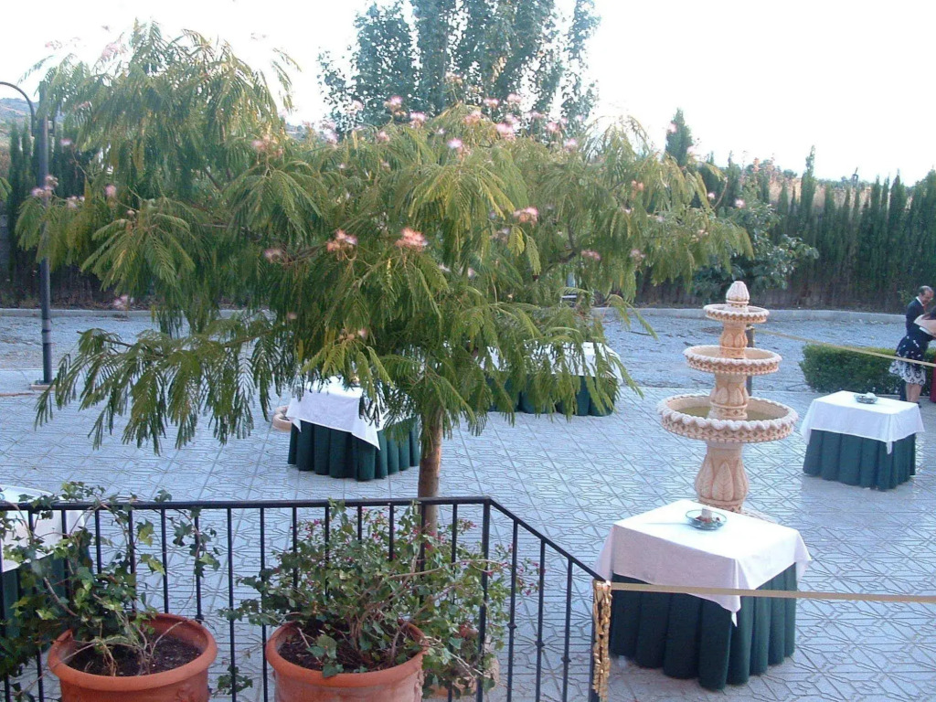 Villa de Gor