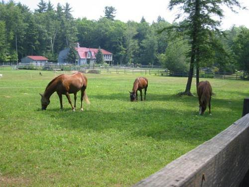 Shaker Woods Farm