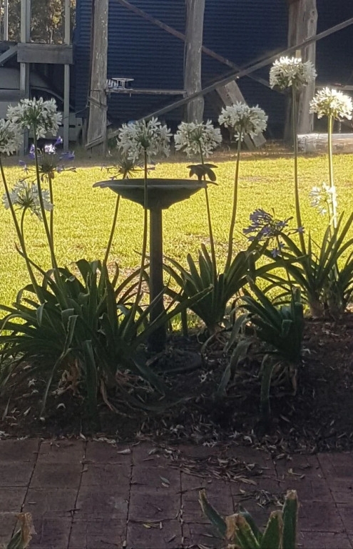 Redtail Cottages