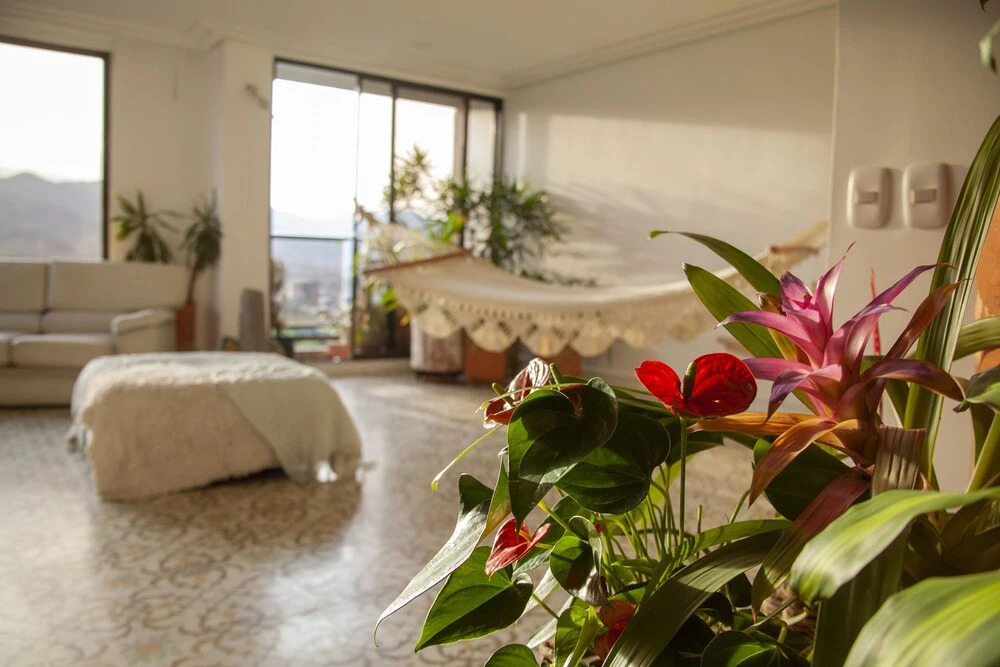 Apartment Lower Las Palmas