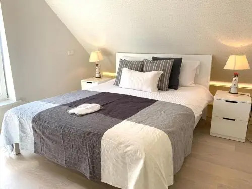 Egidijaus Vila