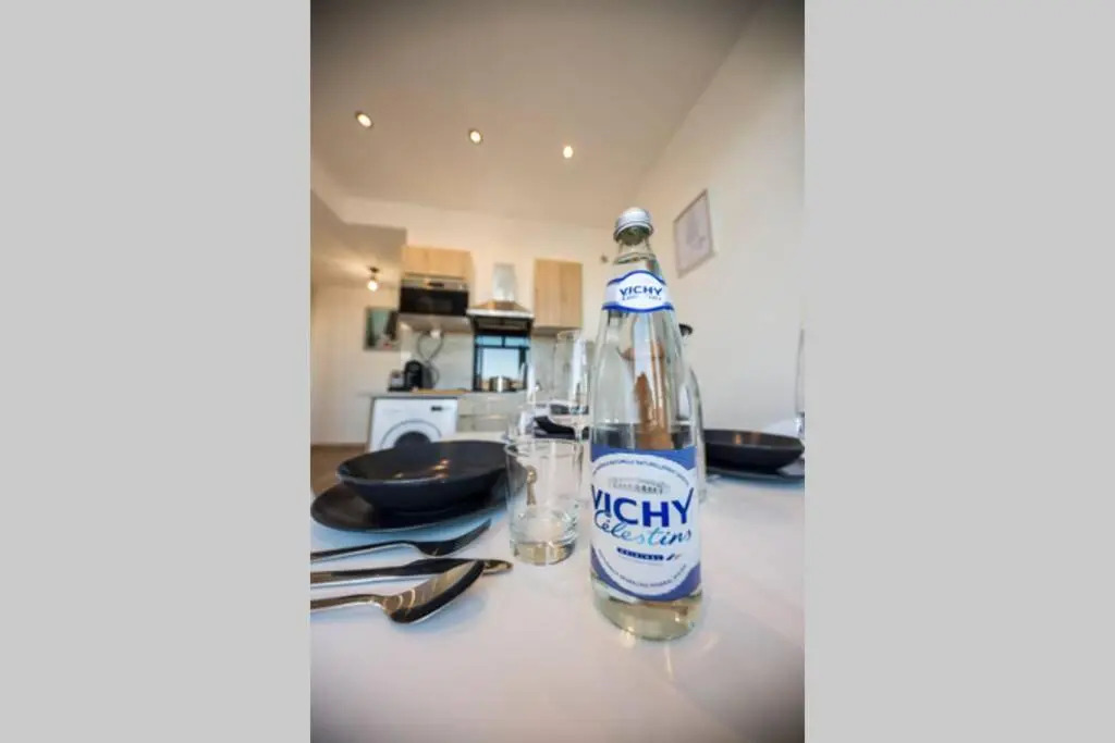 LE SEQUOIA Appart' pour 4 au Cœur de ville VICHY