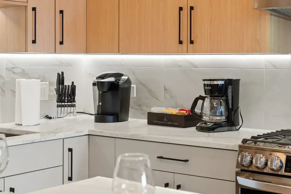 Bright 2bed 2bath in Brand New Pilsen Development