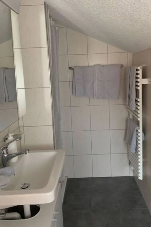 Apartment Hari Adelboden