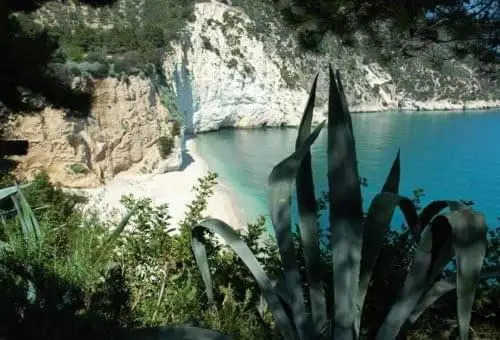La culla sul mare