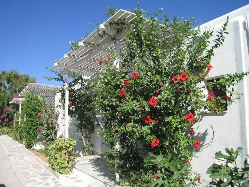 Santa Maria Surfing Beach Hotel (Village/Camping)